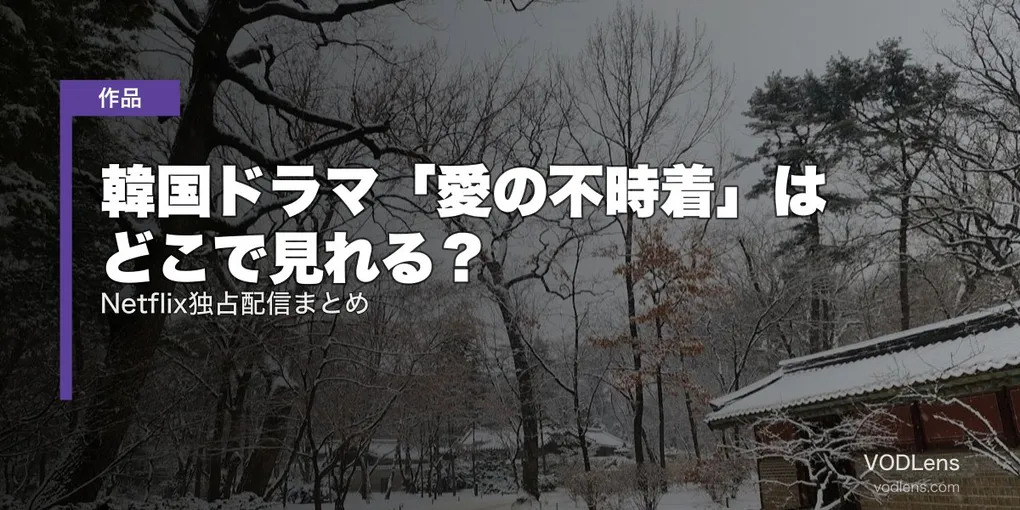 韓国ドラマ「愛の不時着」はどこで見れる？Netflix独占配信まとめ【2026年8月最新】