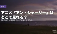 アニメ『アン・シャーリー』はどこで見れる？10月のフジ放送を待たずに8社で見放題【2026年8月最新】