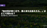 『あの花が咲く丘で、君とまた出会えたら。』はどこで見れる？見放題4社と原作の読み方【2026年8月最新】