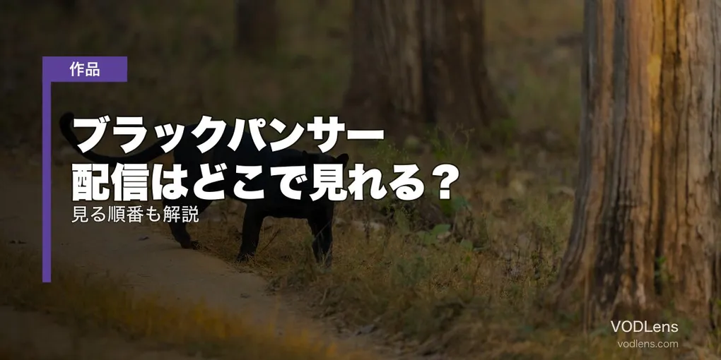 ブラックパンサー 配信はどこで見れる？見る順番も解説【2026年8月最新】