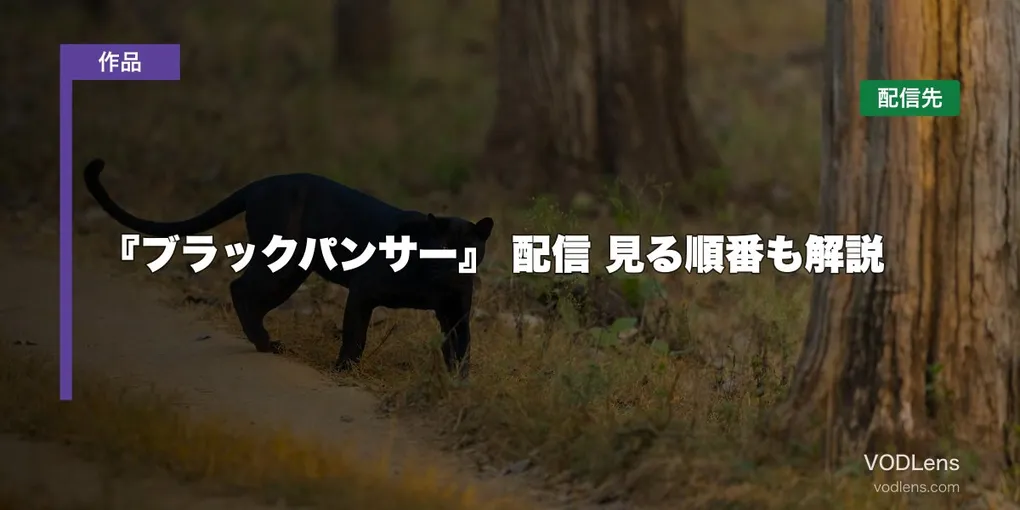 『ブラックパンサー』 配信はどこで見れる？見る順番も解説【2026年8月最新】
