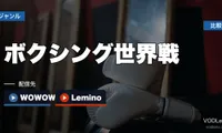 ボクシング世界戦の配信先まとめ｜WOWOW・DAZN・Lemino徹底比較【2026年6月最新】