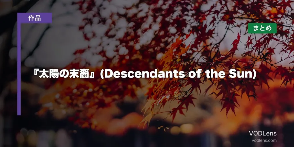 『太陽の末裔』(Descendants of the Sun)はどこで見れる?配信先まとめ【2026年6月最新】