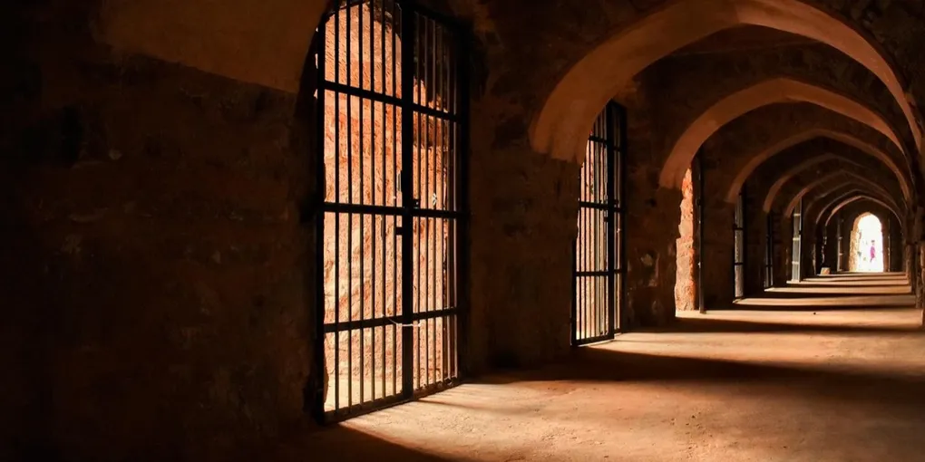 【Netflix独占】「ダンジョン飯」全24話の配信先は？TRIGGER制作アニメの視聴方法【2026年4月最新】