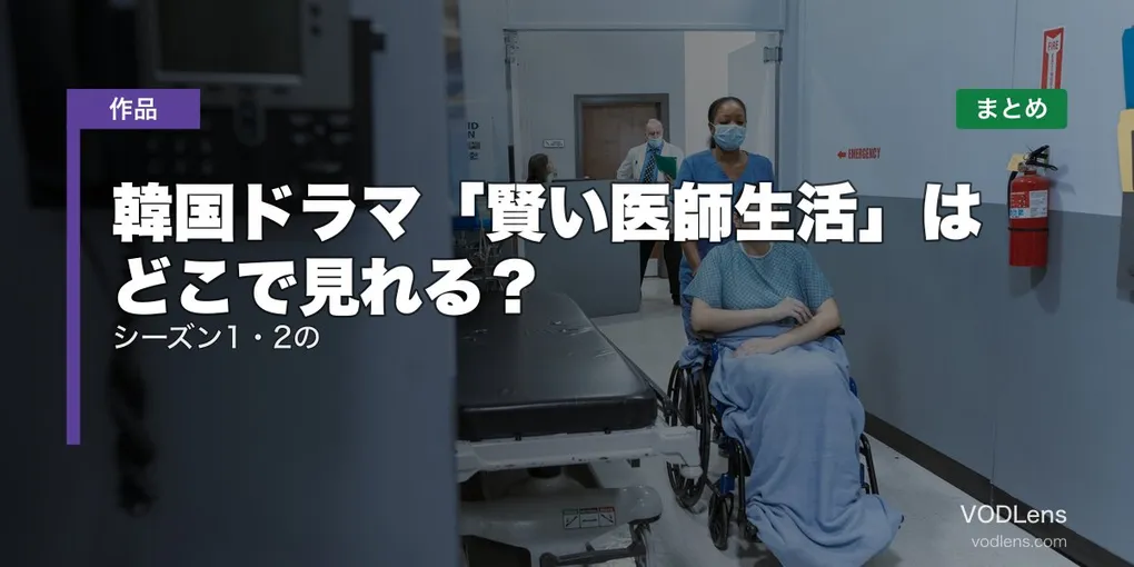 韓国ドラマ「賢い医師生活」はどこで見れる？シーズン1・2の配信先まとめ【2026年6月最新】