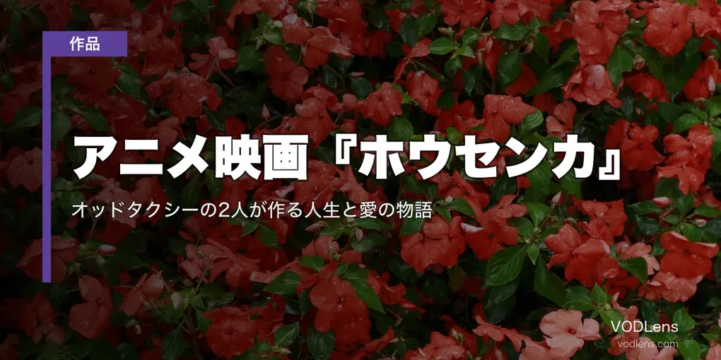 アニメ映画『ホウセンカ』Netflix配信は8月29日から｜オッドタクシーの2人が作る人生と愛の物語【2026年8月最新】