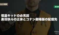 怪盗キッドの必見回はどこで見れる？黒羽快斗の正体とコナン劇場版の配信先