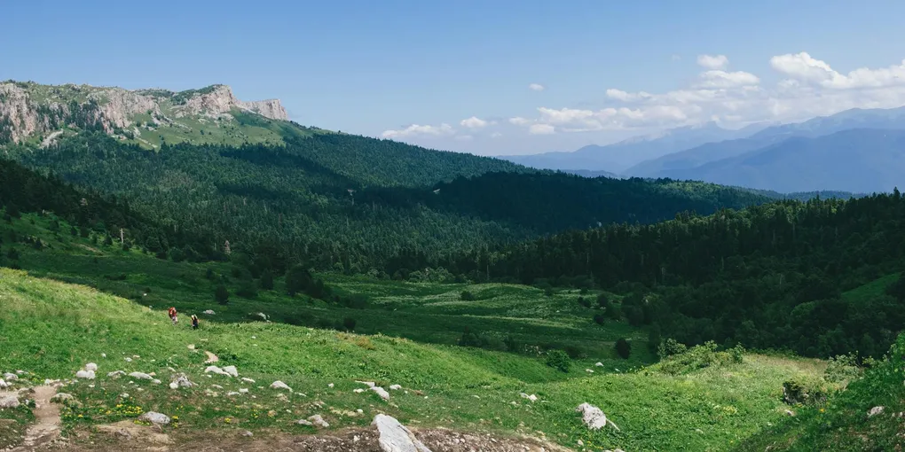 宮崎駿 監督作品 全13本の配信先まとめ｜『ナウシカ』〜『君たちはどう生きるか』【2026年4月最新】