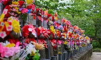 中村玉緒さん死去（86歳）｜代表作『大菩薩峠』『ぼんち』『橋のない川』の配信先と功績まとめ【2026年6月】