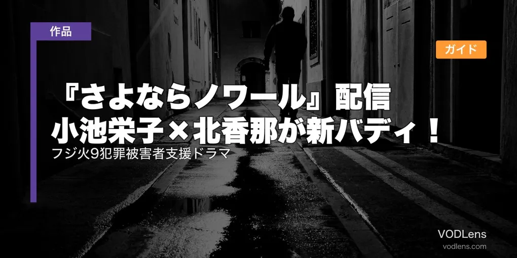 『さよならノワール』配信はどこで見れる？小池栄子×北香那が新バディ！フジ火9犯罪被害者支援ドラマの配信ガイド