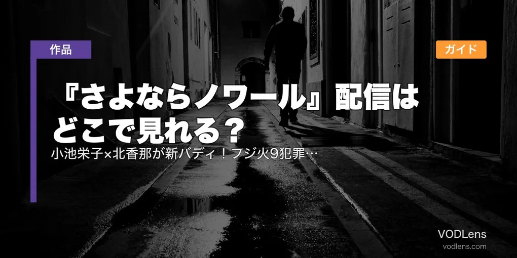 『さよならノワール』配信はどこで見れる？小池栄子×北香那が新バディ！フジ火9犯罪被害者支援ドラマの配信ガイド