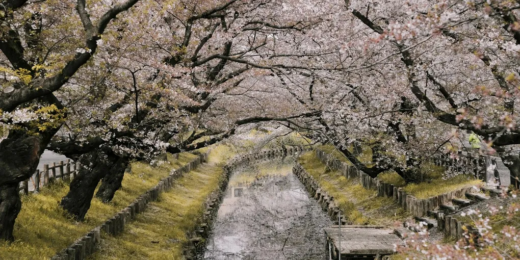 2026年春アニメ注目作まとめ｜4月クール10本の配信先【2026年4月最新】