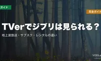 TVerでジブリは見られる？地上波放送・サブスク・レンタルの違い完全ガイド【2026年8月最新】