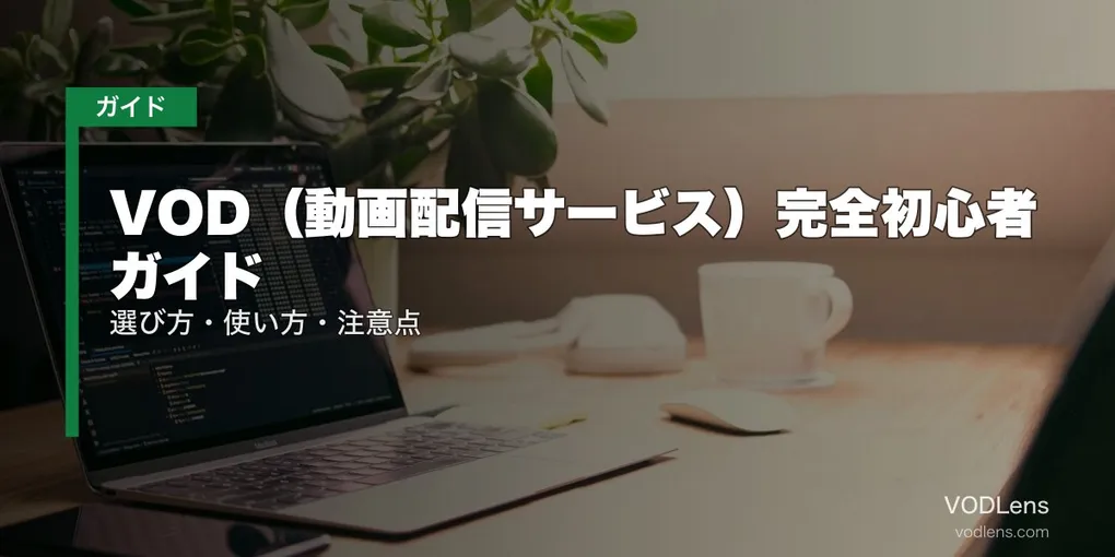 VOD（動画配信サービス）完全初心者ガイド｜選び方・使い方・注意点【2026年4月最新】