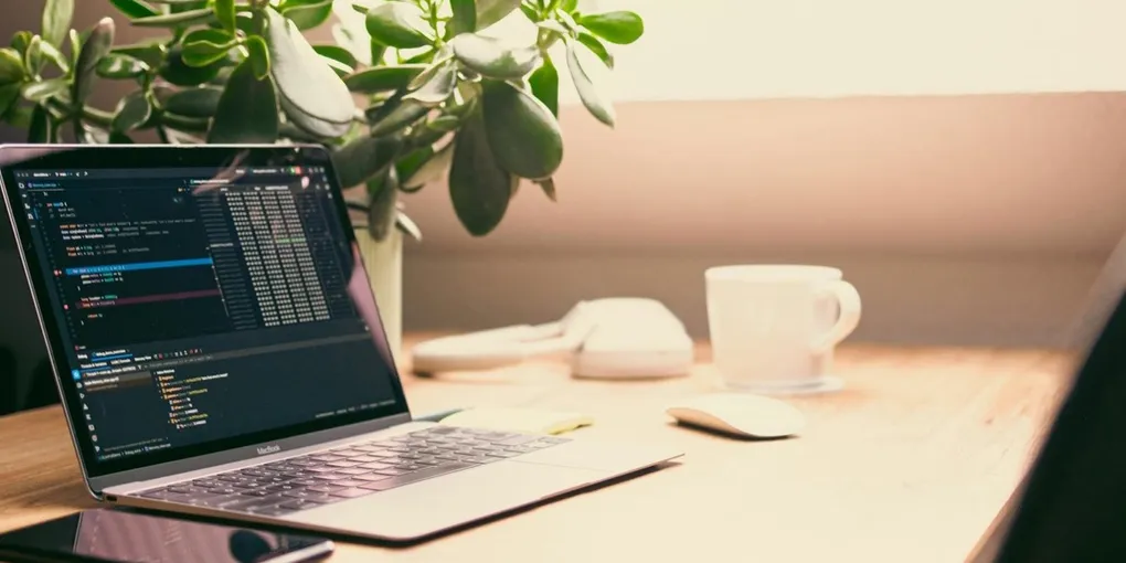 VOD（動画配信サービス）完全初心者ガイド｜選び方・使い方・注意点【2026年4月最新】